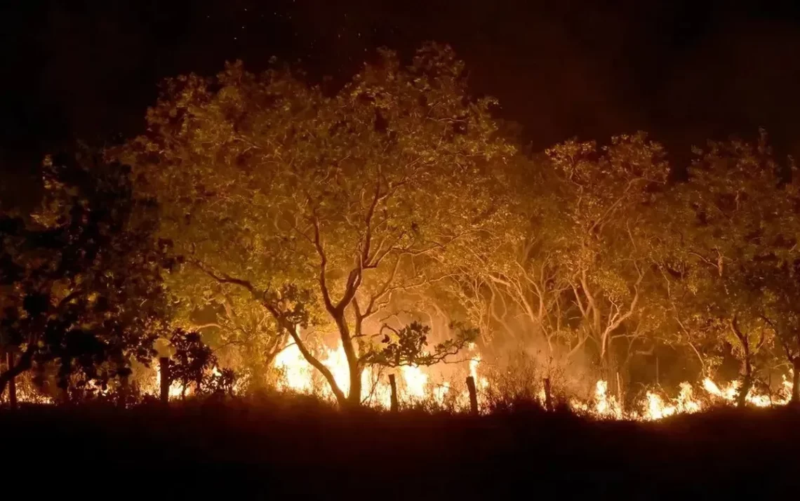 incêndios, queimas;