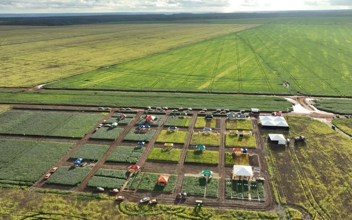 BrasilAgro, empresa;