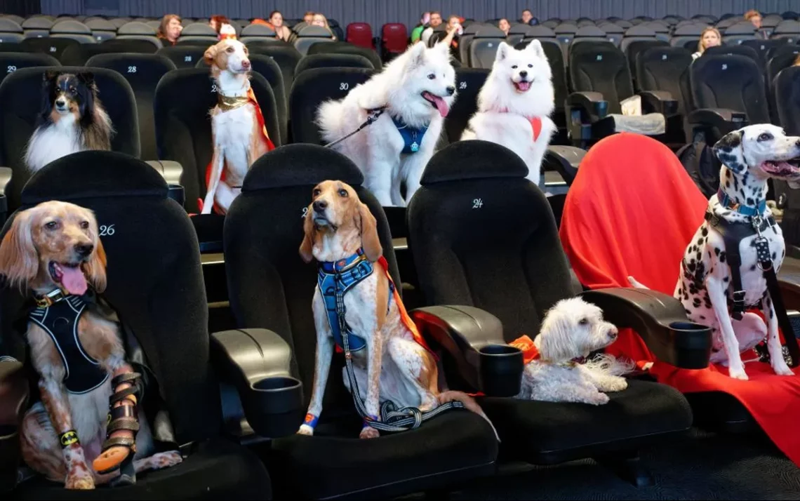 Dogs no cinema;