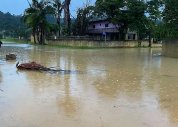 chuva, chuvisco, chuva forte, chuva intensa, chuva torrencial;