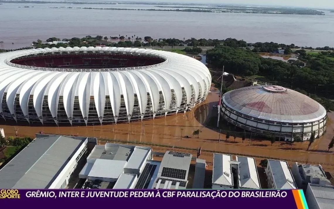 entidade, organização;