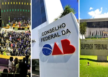 lei, legislação, lei de honórios e prerrogativas, na Advocacia;