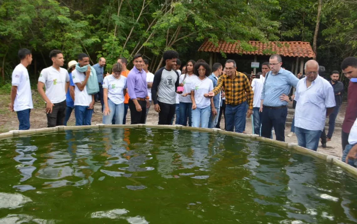 Projeto-Sisteminha, Projeto-de-combate-à-fome;