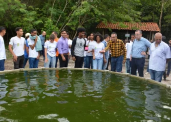 Projeto-Sisteminha, Projeto-de-combate-à-fome;