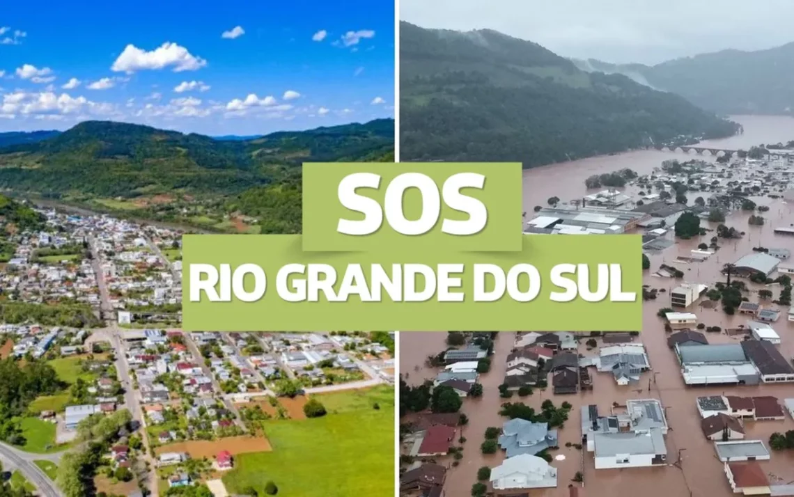 affected regions, historic flood levels, estimated indices, thousands of homeless, official sources, correct information, government page, Banrisul bank;