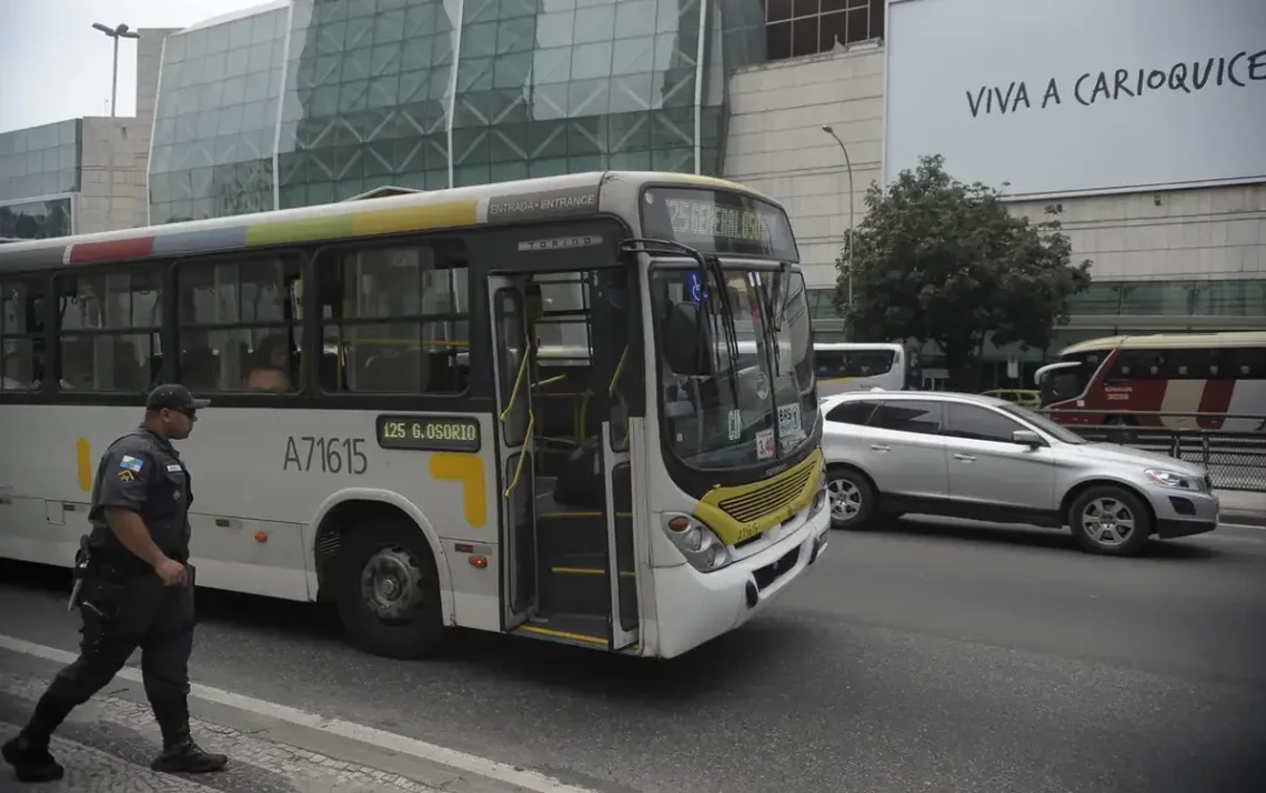 legislação, norma, regulamento;