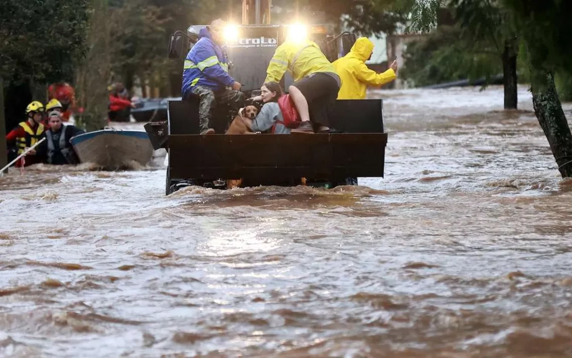 óbitos, fatalidades, falecimentos;