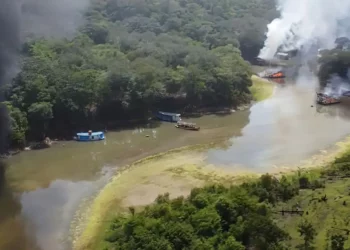 metal, líquido, poluição, ambiental, intoxicação, aguda;