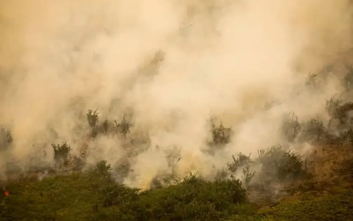 queimadas, chamas, focos, de fogo;