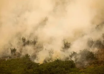 queimadas, chamas, focos, de fogo;