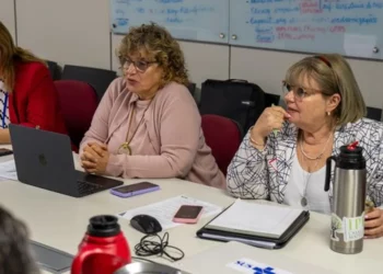 doenças, transmitidas por, vetores;