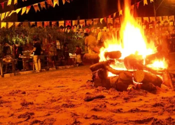 queimaduras, lesões, por calor, lesões, térmicas;