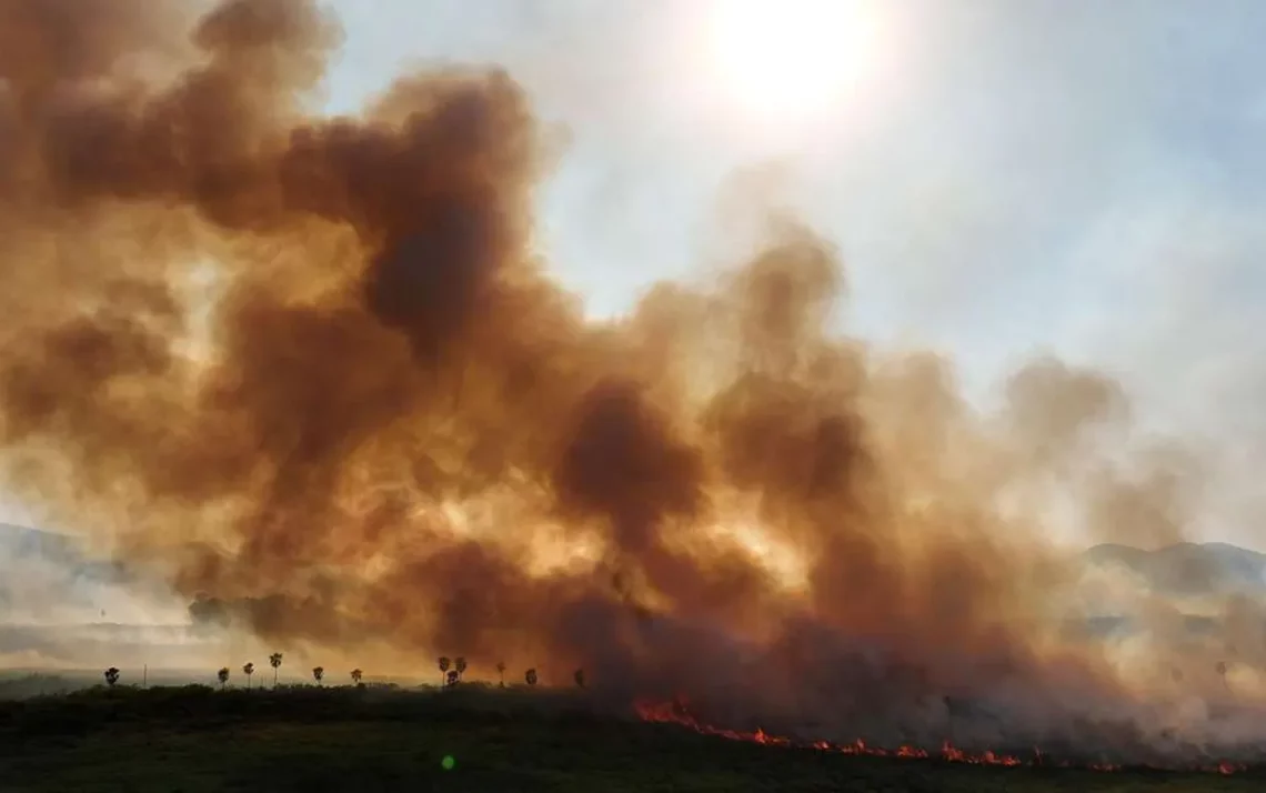 queimadas, chamas, fogos;