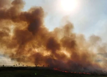 queimadas, chamas, fogos;