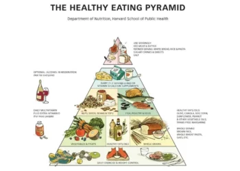 pirâmide, alimentar, dieta, saudável, escolhas, alimentares;