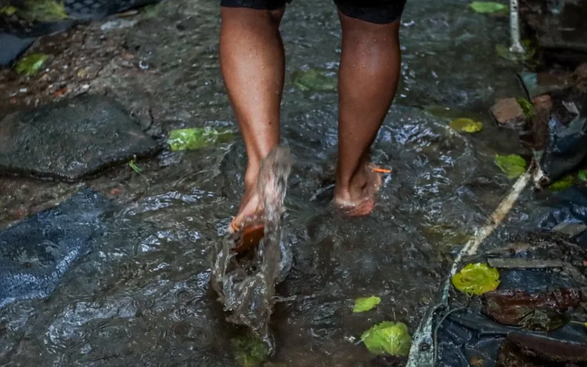 Doença infecciosa aguda, Doença transmitida, Doença febril;