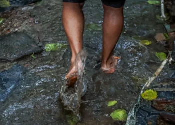 Doença infecciosa aguda, Doença transmitida, Doença febril;