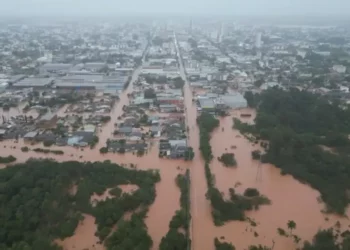 Linhas de crédito;