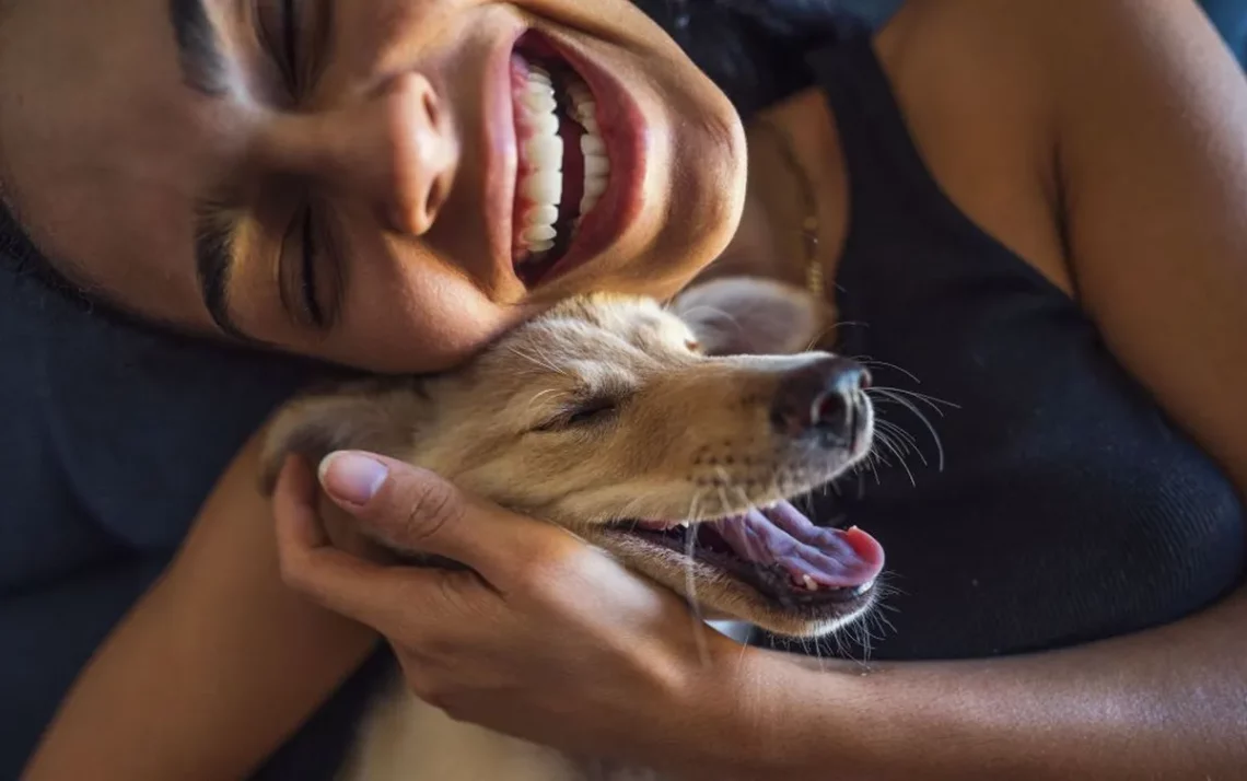 animais, de estimação;