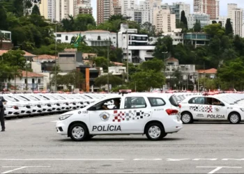 operação, ação, atuação, intervenção, policial;