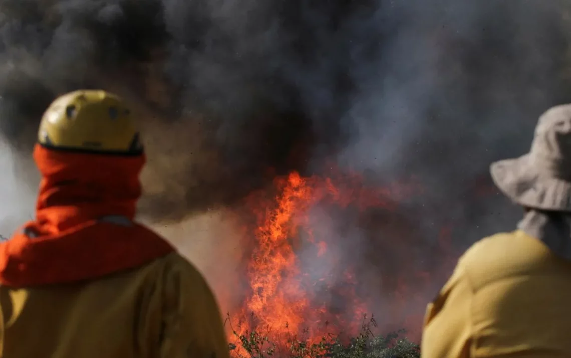 queimadas-florestais, incêndios-florestais, queimadas, em florestas;