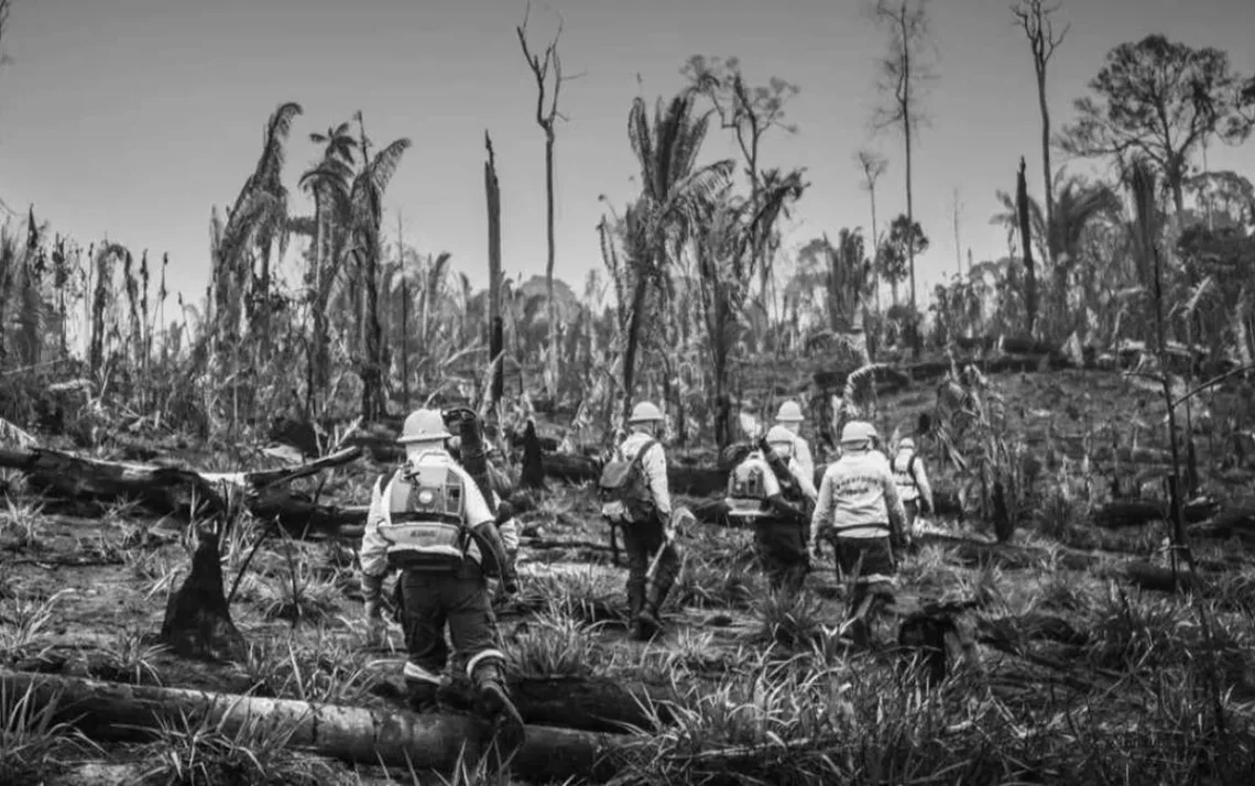 combatente, voluntário, socorrista;