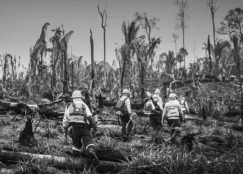 combatente, voluntário, socorrista;