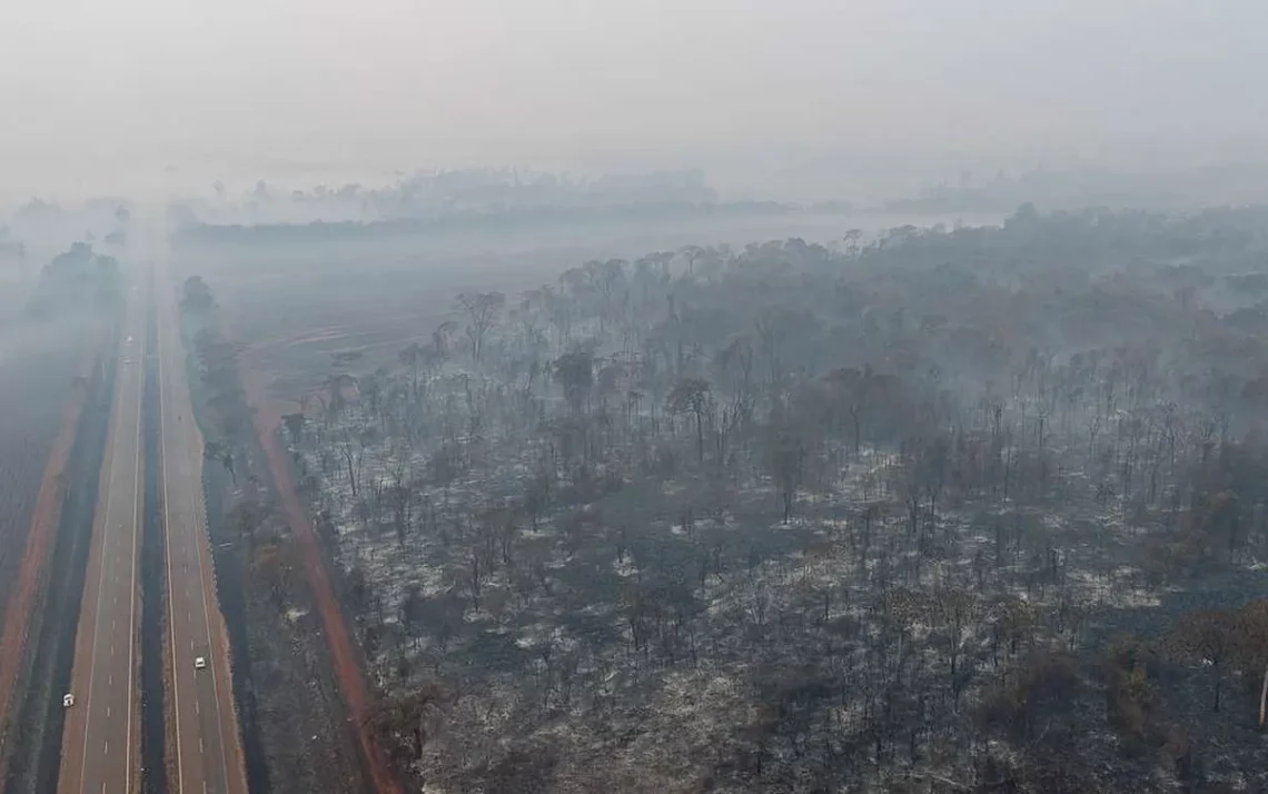 queimadas, focos de incêndio, queimadas;