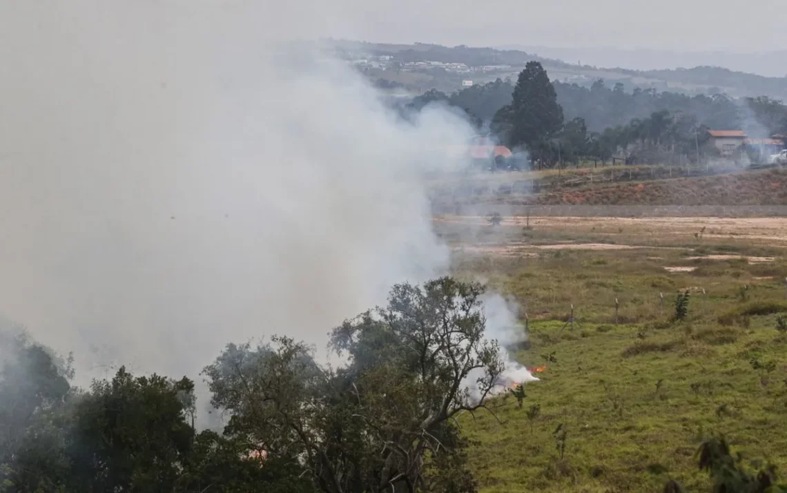 focos, queimadas, de vegetação, incêndio;