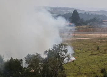 focos, queimadas, de vegetação, incêndio;