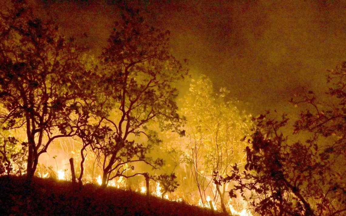 incêndios, focos, de calor, chamas;