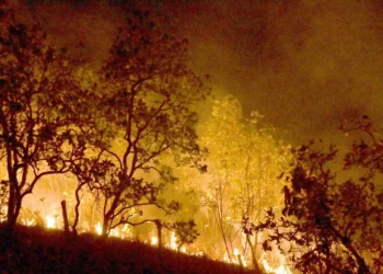 incêndios, focos, de calor, chamas;