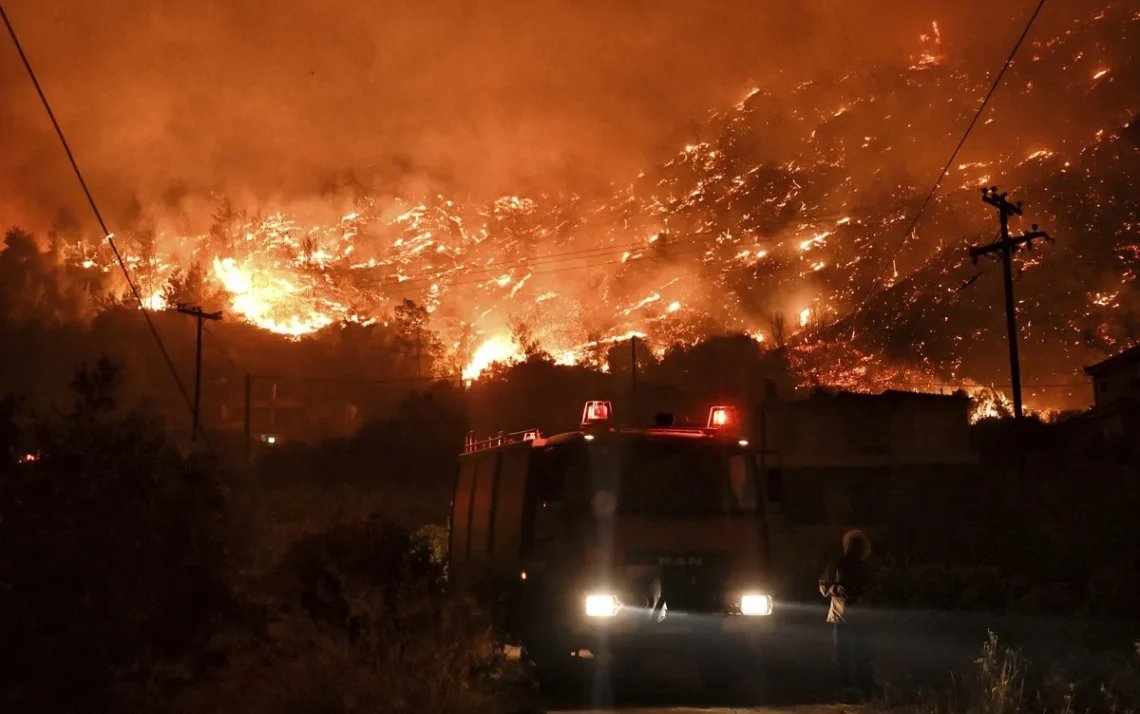 fogo, chamas, incêndio florestal;