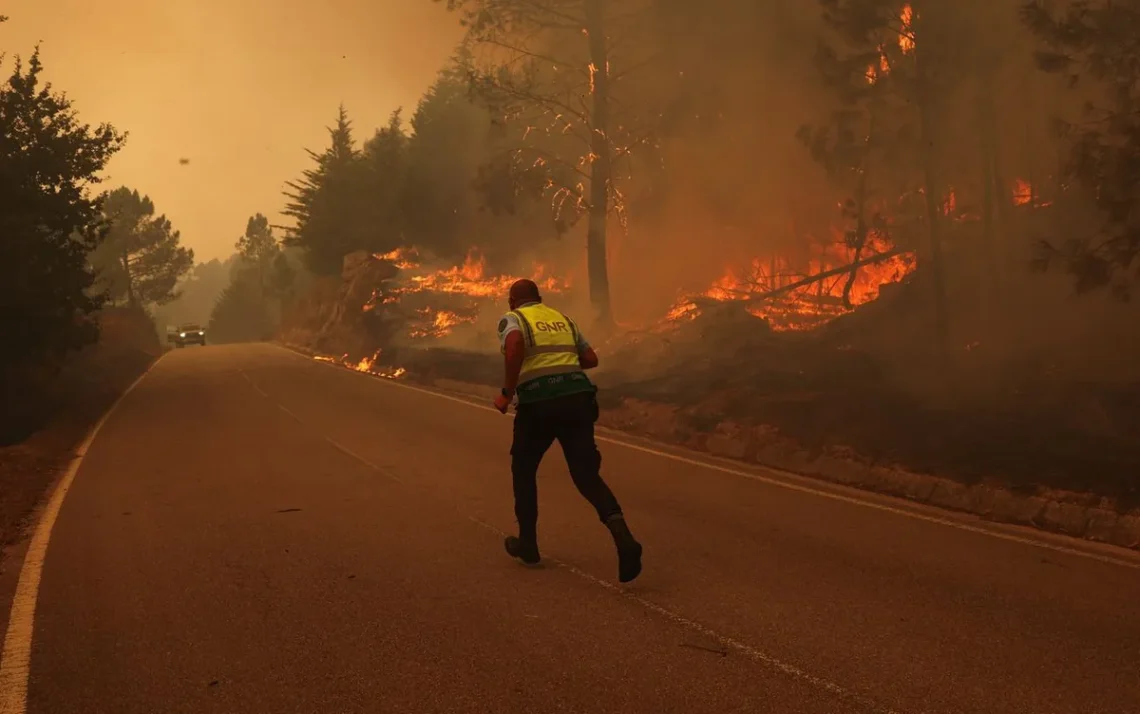 Incêndios, Florestais, Incêndios Devastadores;