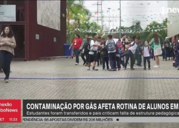 instituições, de ensino, estabelecimentos, de ensino, colégios;