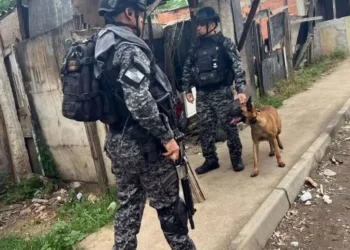 ações policiais, incursões, operações da polícia, ações da polícia';