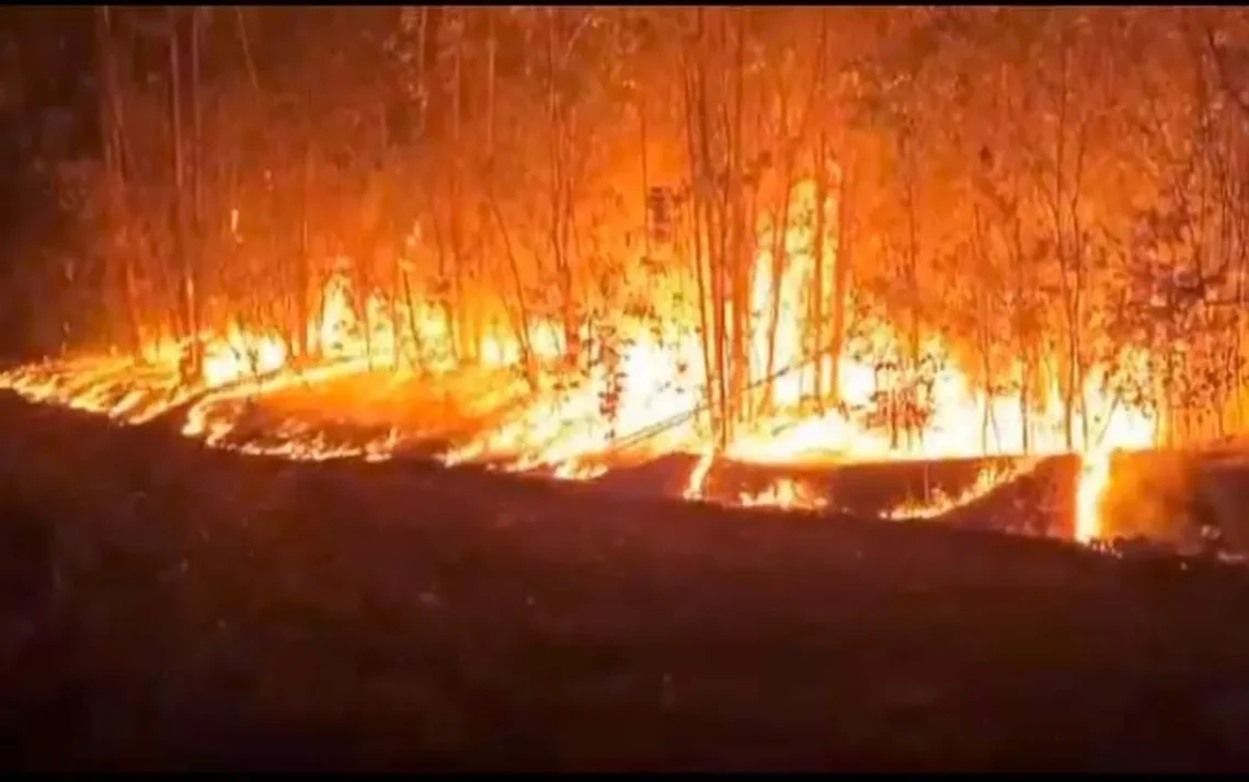 fogo, incêndios;