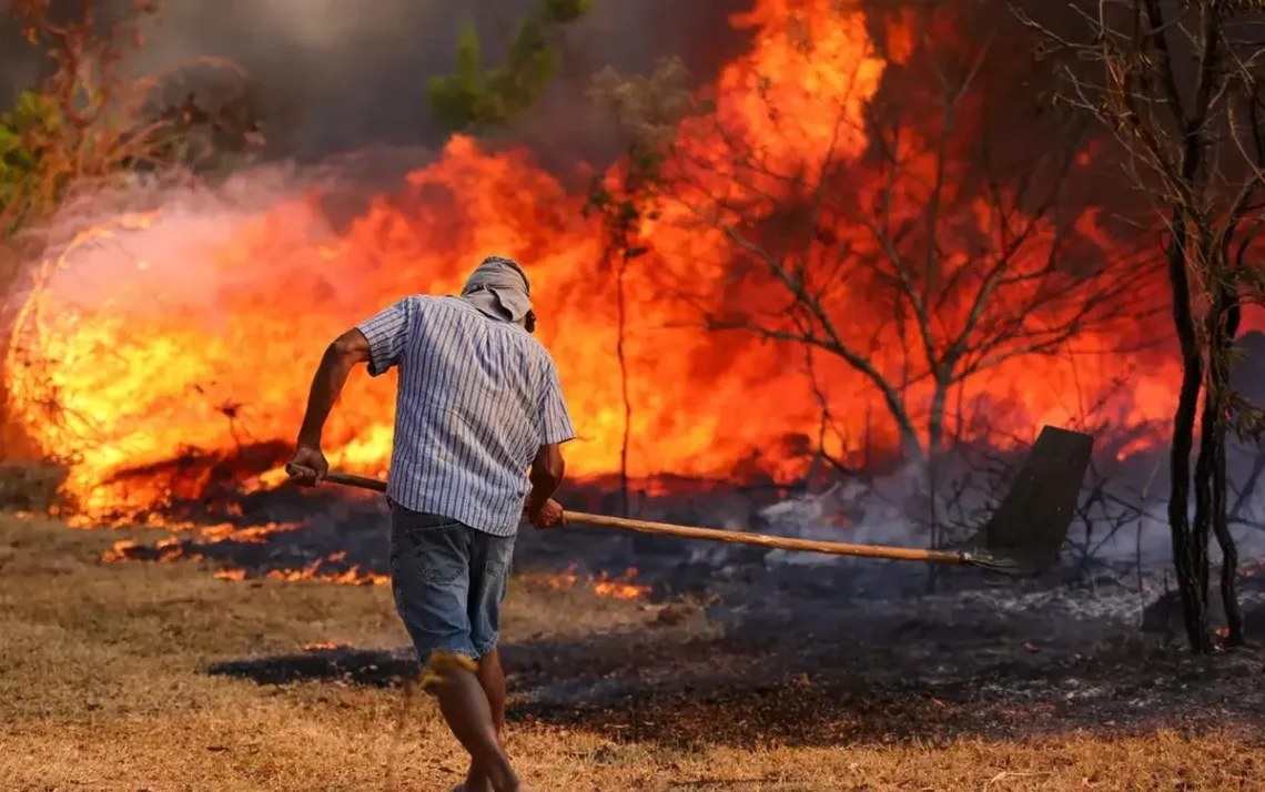 incêndios, focos, de incêndio, fogo, queimadas';