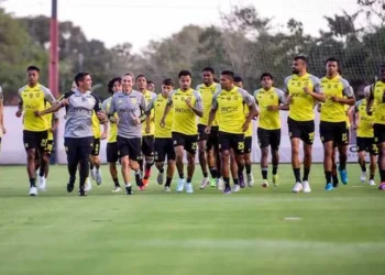 treinamentos, sessões, de treino, atividades, de treinamento;